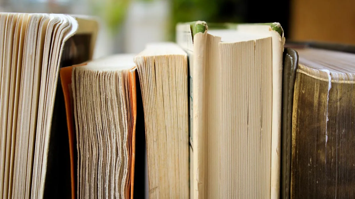 Buku Apa Menjadikan Pembaca Papa Kedana?