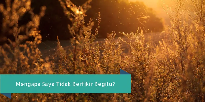 Bagaimana Validate Idea Buku